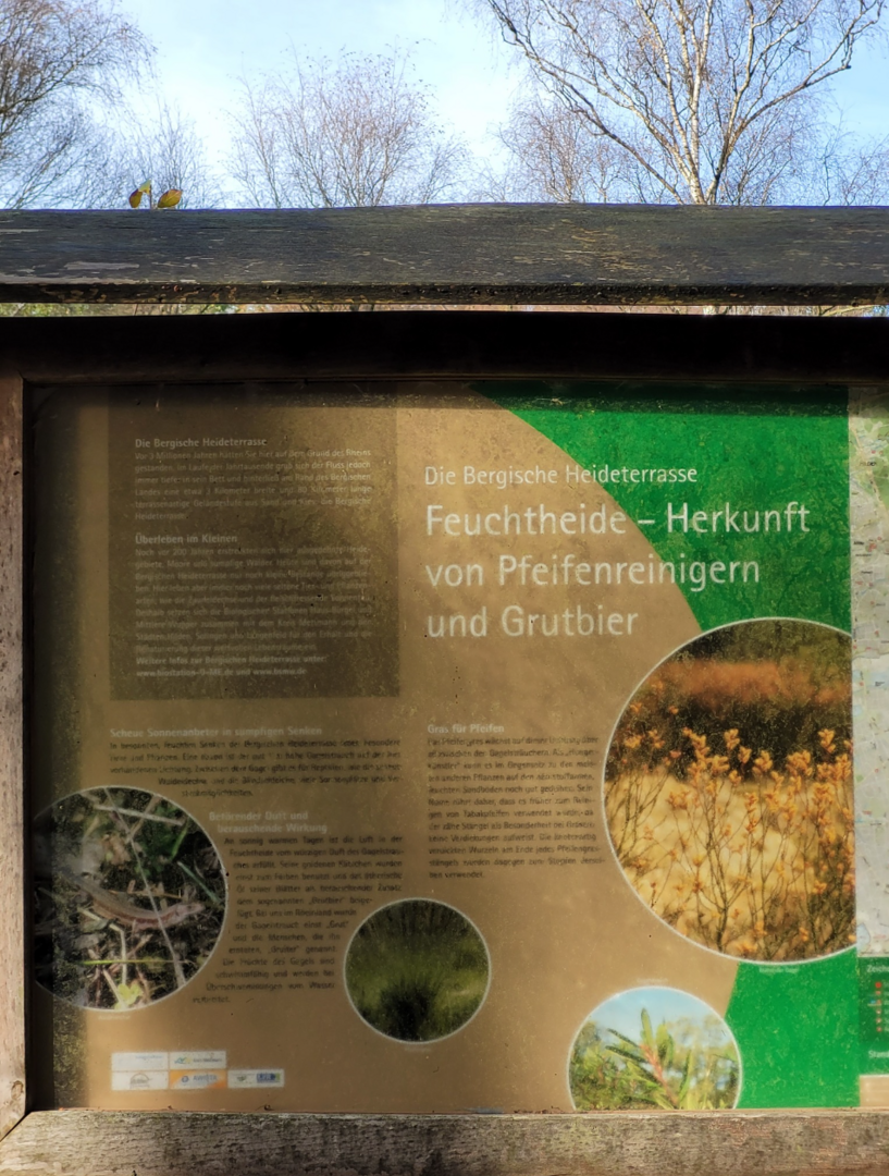 Die Infotafel zeigt Feuchtheide und Bergischen  Heideterasse, die sich  von Köln bis nach Essen hinzieht
