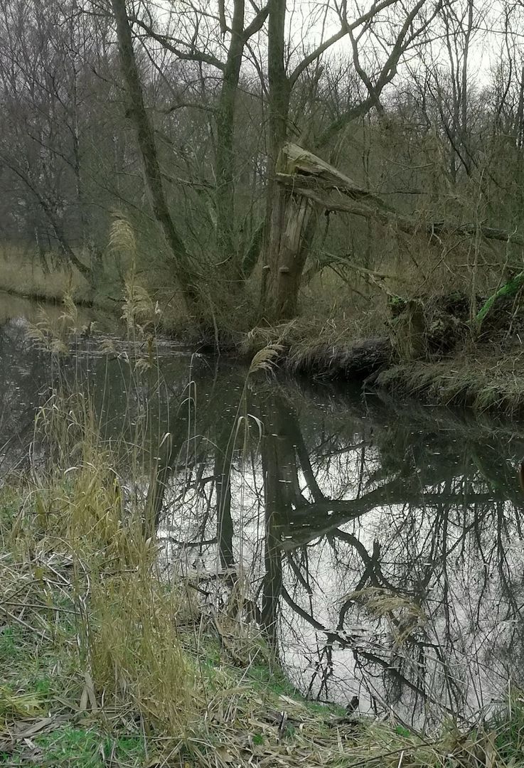 Begradigter Dickelsbach im südlichsten Teil der Rahmer Benden
